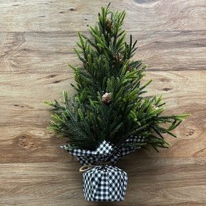 Small Pine Tree with Black and White Checkered Base